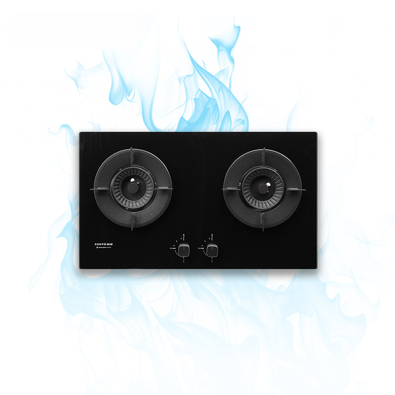 Cocina de Gas LPG de 2 Quemado - Electronics & Gadgets Starting With D reseña y precio